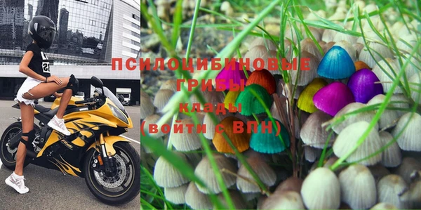 прущая мука Абаза